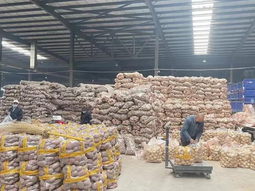 新手团长寻找供应链,新手招商团长该找怎样的商品