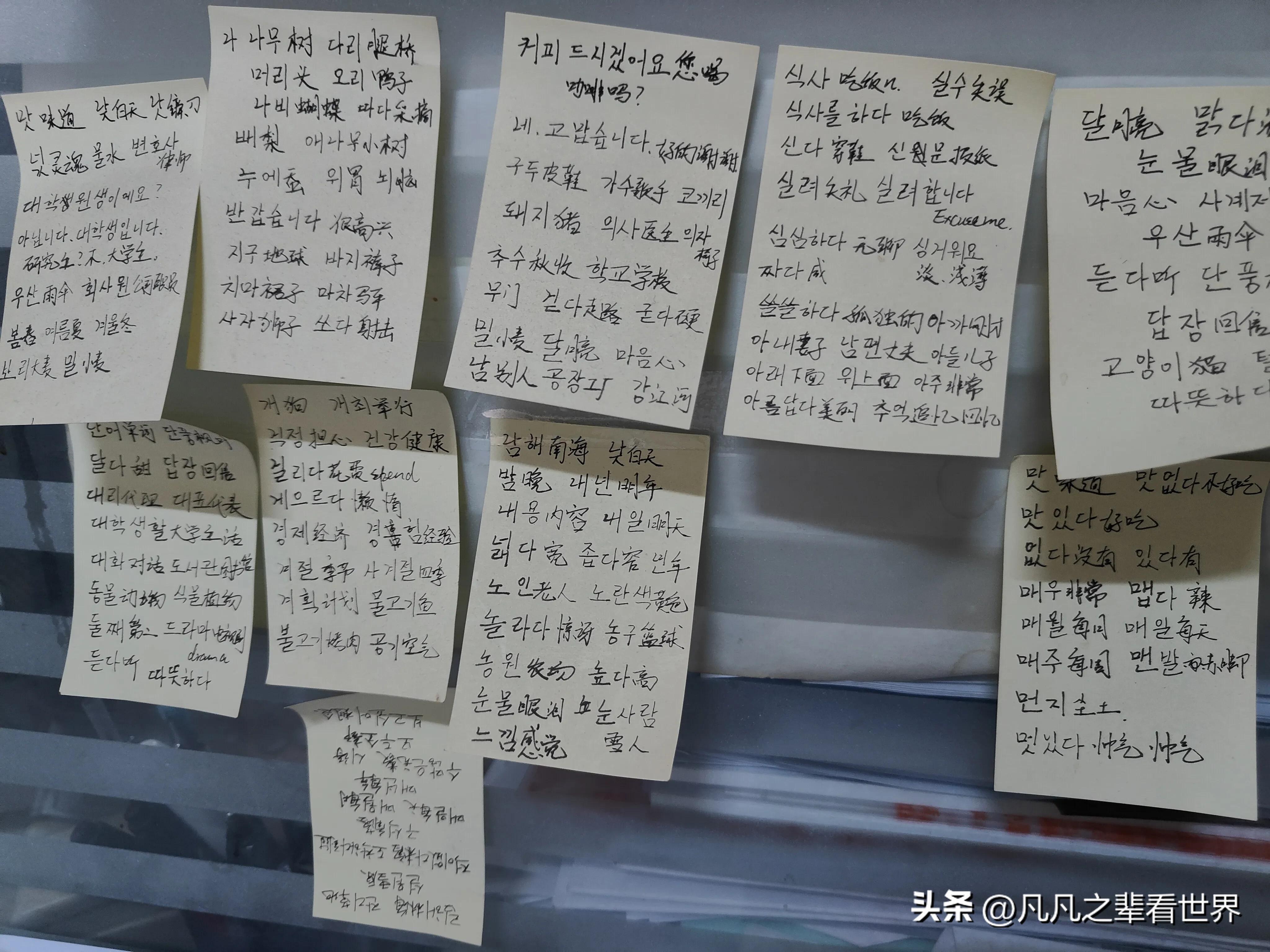 凡凡看世界申亮亮,凡凡看世界路人视角