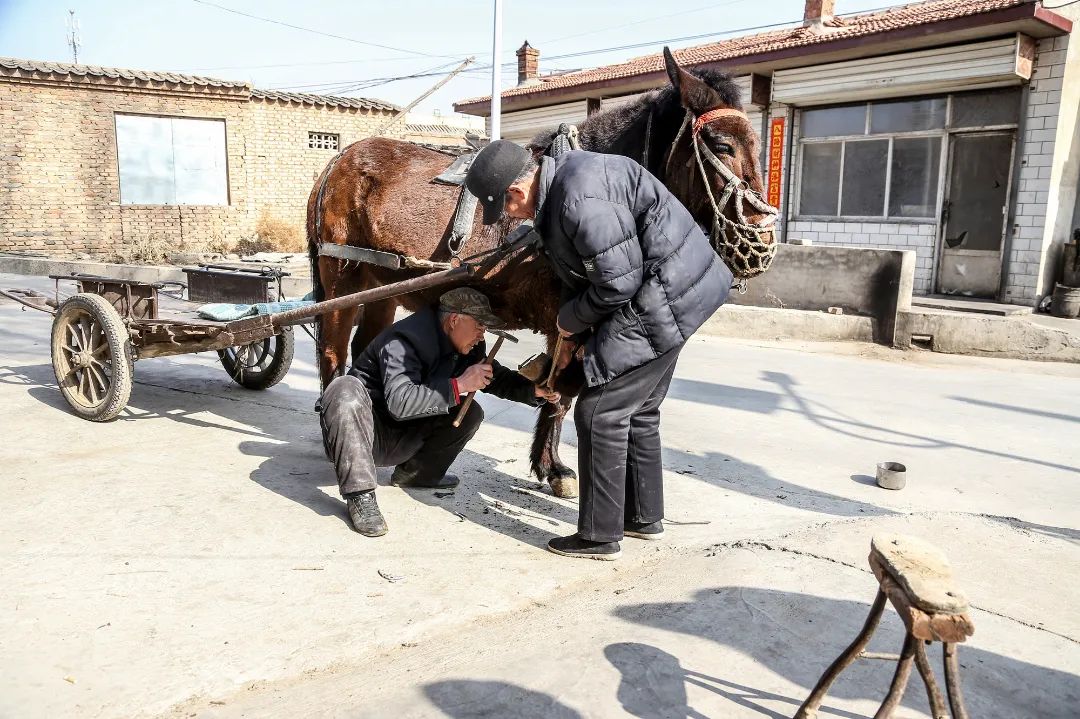 迎接党的20大美术作品,喜迎二十大乡村摄影展