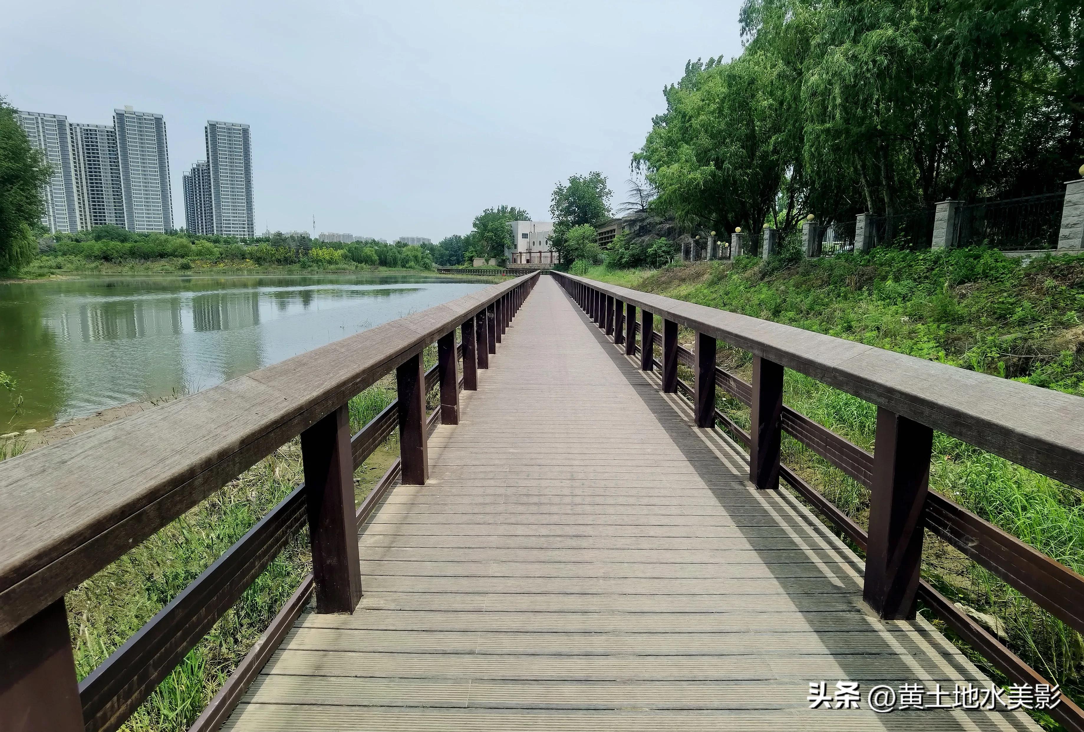 郑州象湖生态公园免费景点推荐,绿湖湿地公园河南