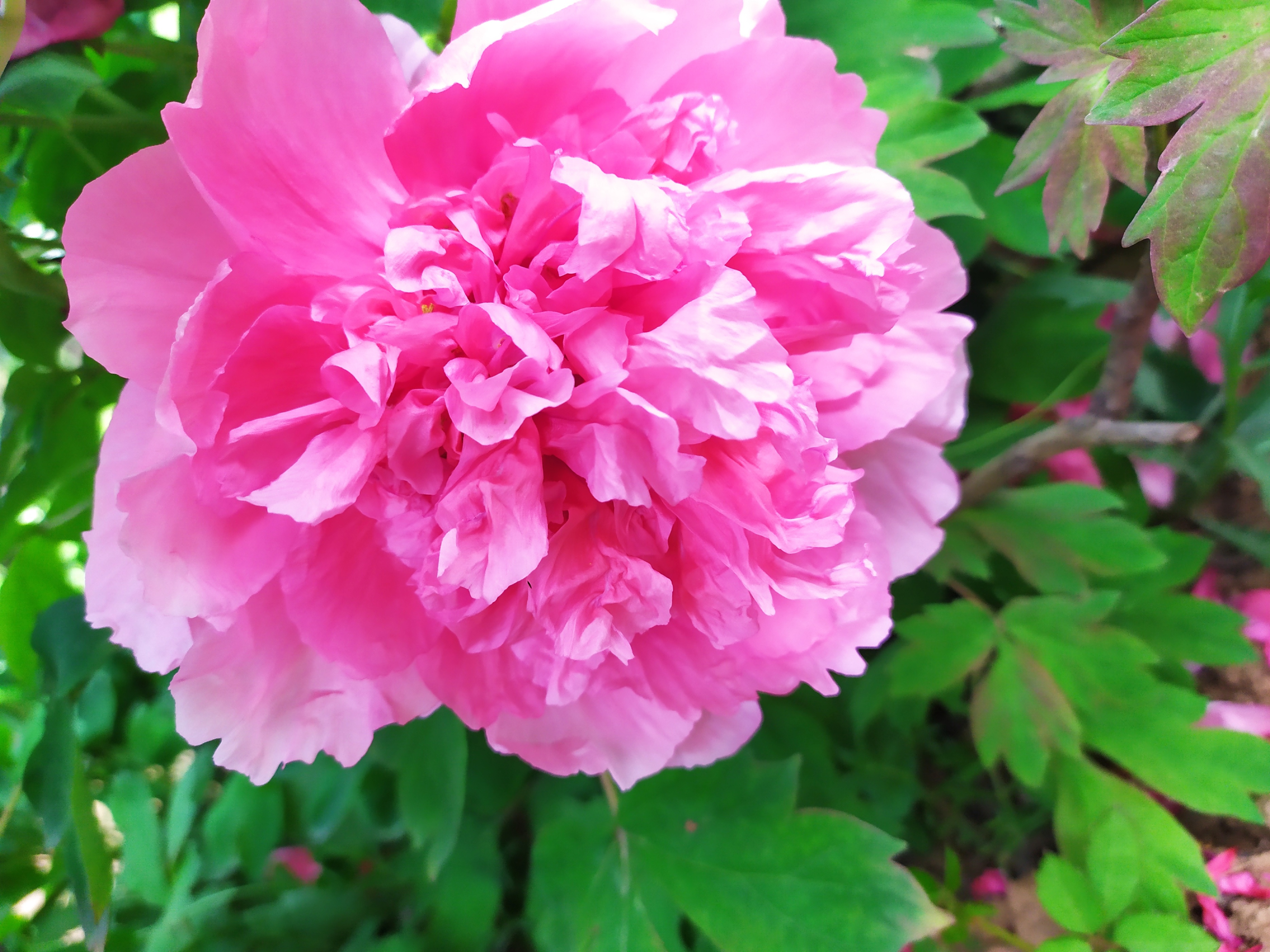 跟淄博烧烤相同的城市特色,和淄博烧烤一样火的还有什么