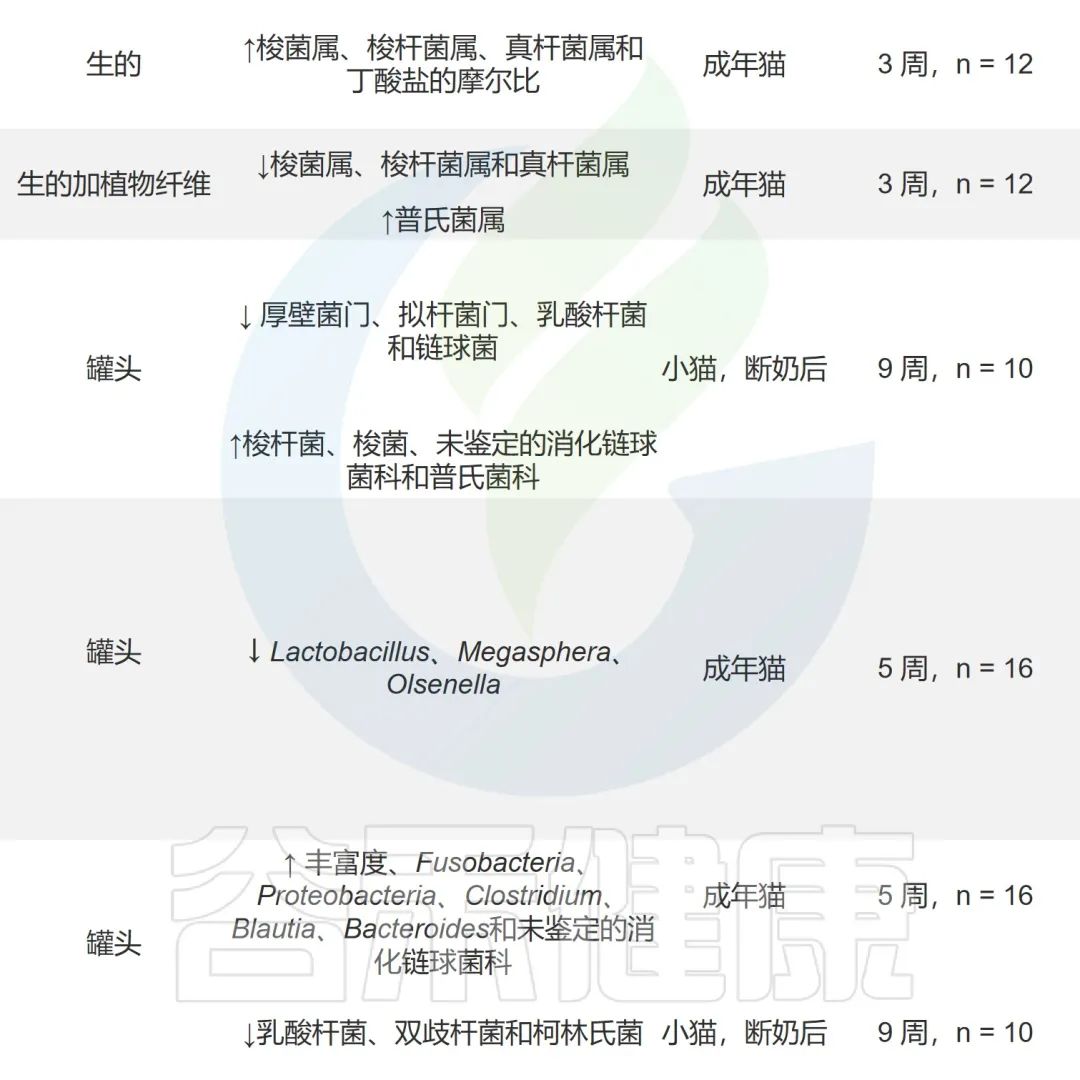 猫肠道菌群活性显微镜,猫肠道菌群类型图