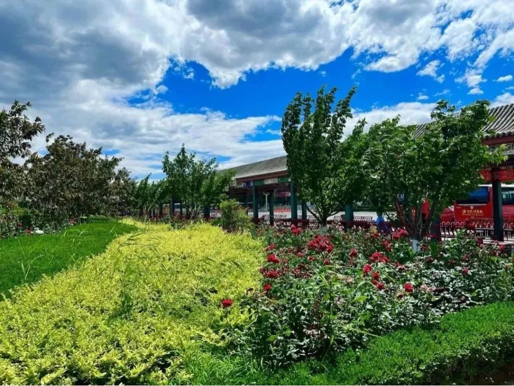 北京公交驾校考试全课程,北京公交驾校课程