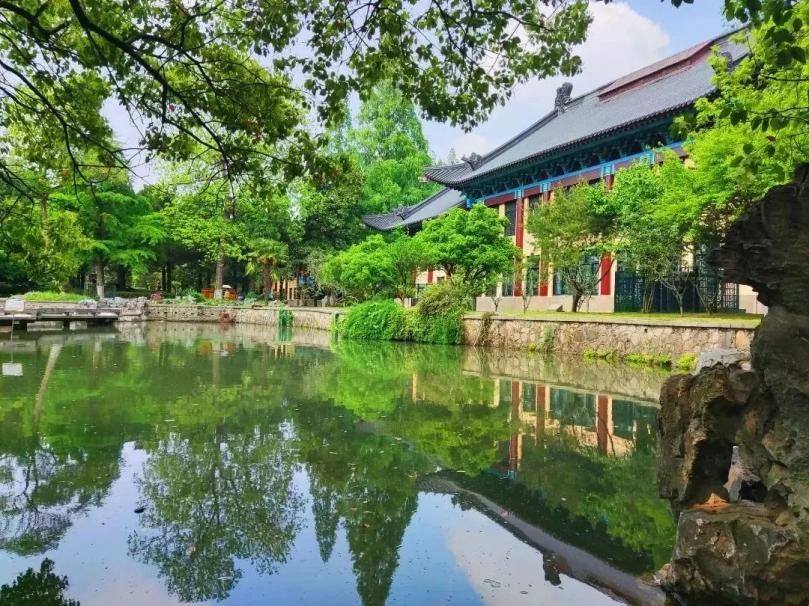 南师大女排总决赛比分,南师大女排夺冠