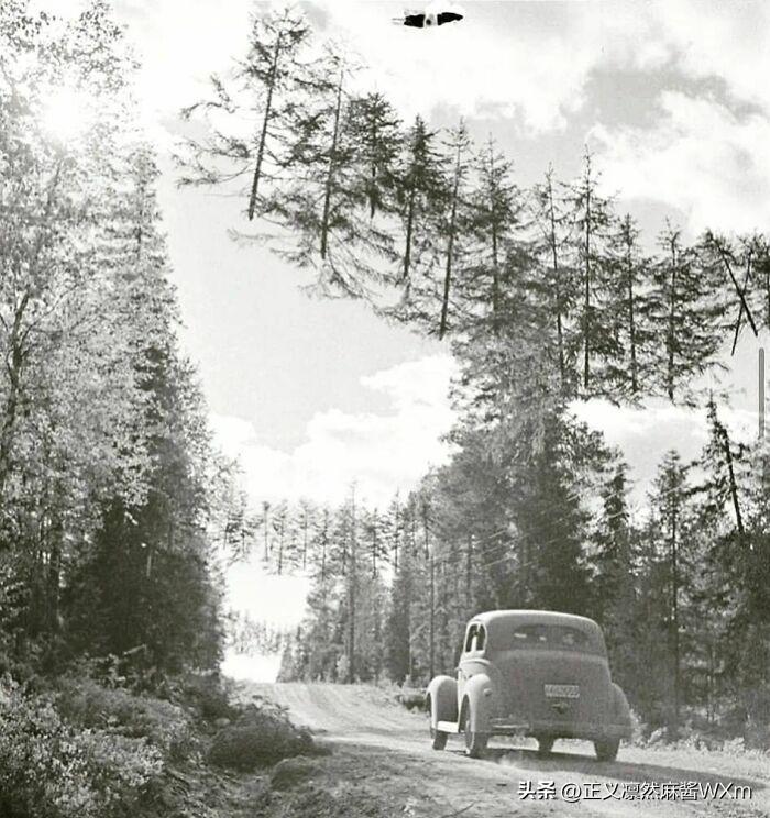 30张真实又罕见的老照片，阴毛假发工作者，我怀疑他用错地方了