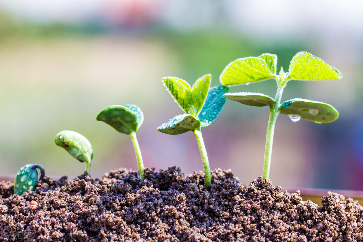上网课孩子的自觉性差,孩子上网课怎么能让孩子专心学习