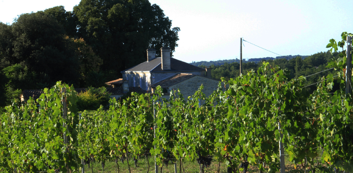 波尔多不止拥有一条葡萄酒之路,波尔多葡萄酒知识