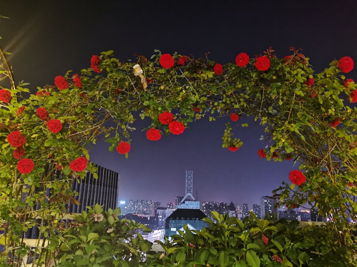 原创诗词集100首,原创诗词大全100首