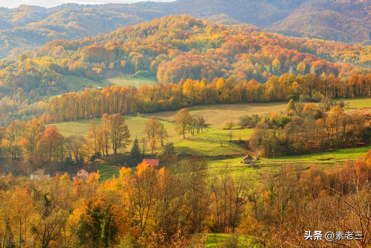 女作家去做保姆最新,女作家去做保姆最新篇443