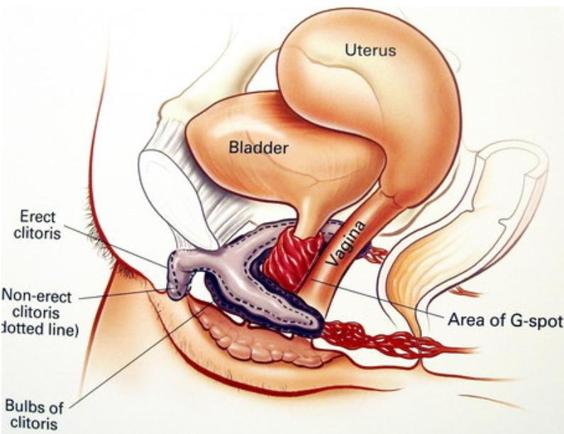 没有子宫的女人，和正常女性有什么不同？2个变化，可能无法改变