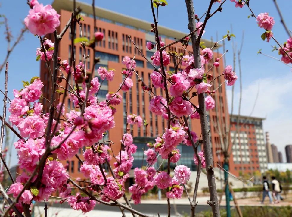 喜迁新居新起点新征程,喜迁新址再次起航什么意思