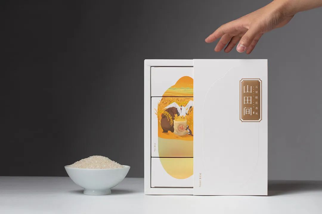 闀囨睙澶х背鍖呰璁捐,澶х背鍖呰璁捐娴欐睙