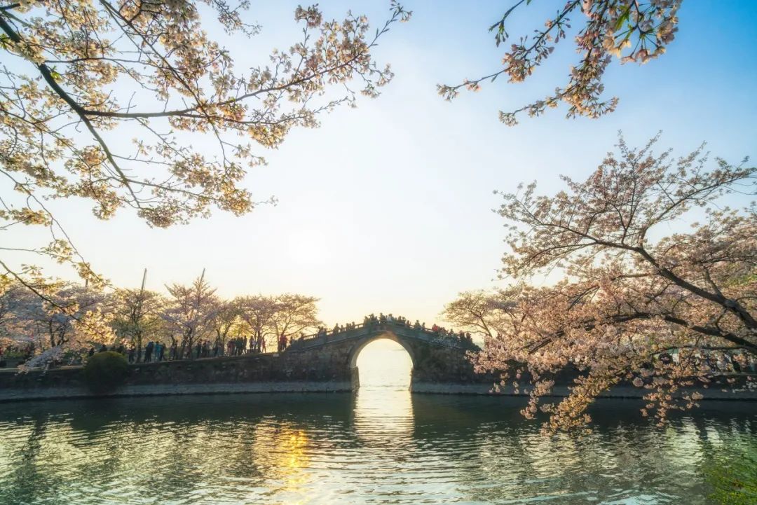 春游踏青唯美诗句,让人惊艳的春游诗句