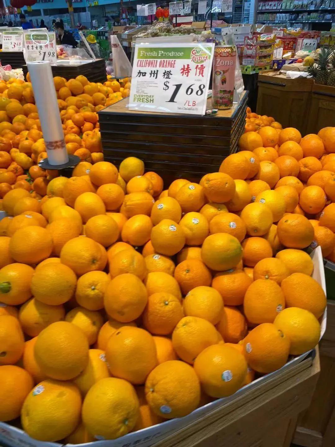 美国之旅7-10,美国之旅1972