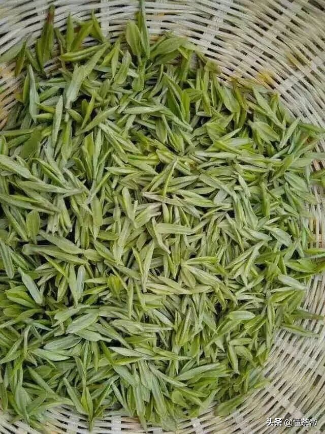 五行属土适合喝什么茶,五行缺金喝什么茶好