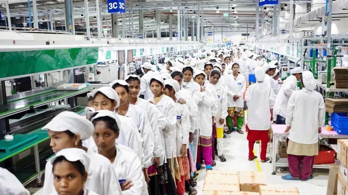 印度产苹果良品率,印度苹果厂生产慢问题