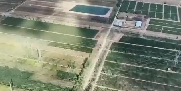 河北大叔遇天降横财，把各种水果种在花盆里，最贵一盆卖到几万元