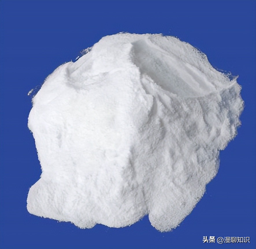 乳酸菌是一种还是一群细菌,乳酸菌是什么东西