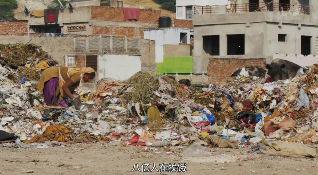 最后一部良心之作,一部真正良心之作全程毫无尿点