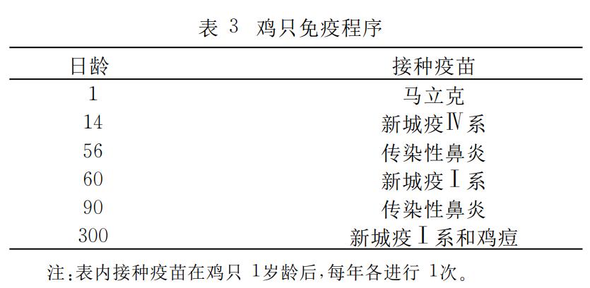 珍珠鸡育雏需要什么条件,育雏珍珠鸡怎么分公母