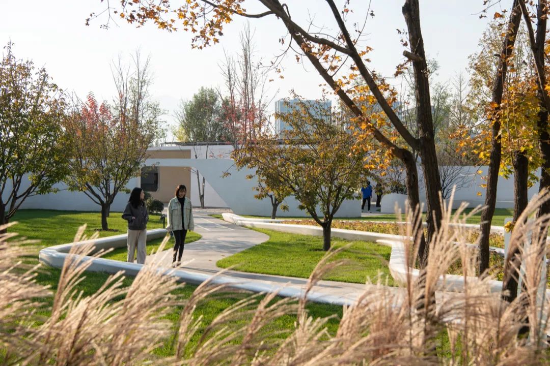 北京海淀光合公园在哪,海淀光合公园平面图