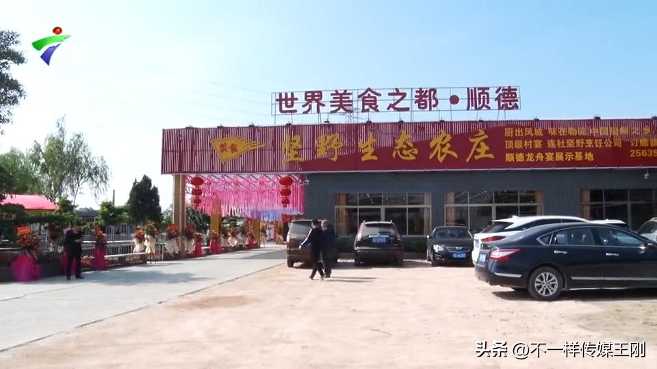 在东莞享顺德美食，记顺德坚野山庄第二分店正式开业