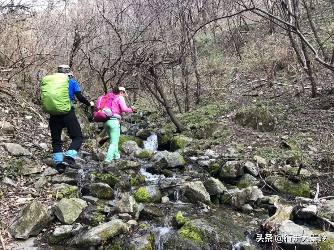 首阳山穿越大坪梁景色怎么样,大坪梁穿越到首阳山攻略