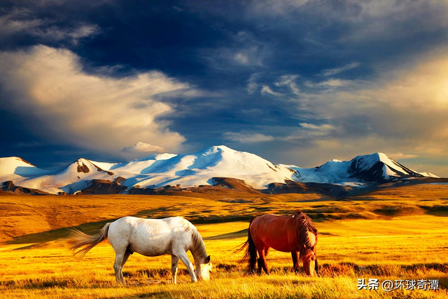 从符拉迪沃斯托克到莫斯科,克里米亚到俄罗斯公路