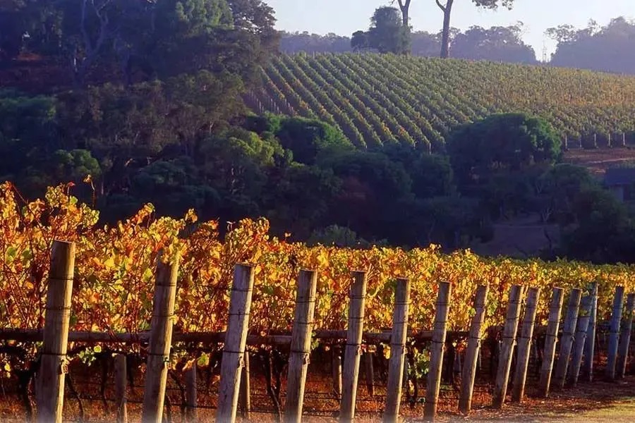 澳大利亚cacavalley葡萄酒,澳大利亚葡萄酒产区图