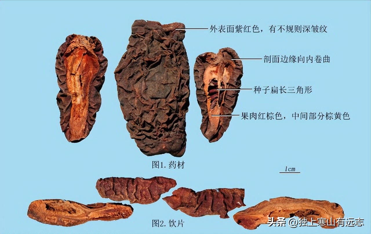 甜瓜和木瓜能一起吃吗,木瓜和甜瓜能一起吃吗