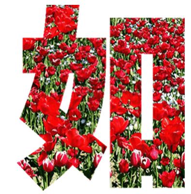 现代散文精选追梦路上,叙事散文主题追梦