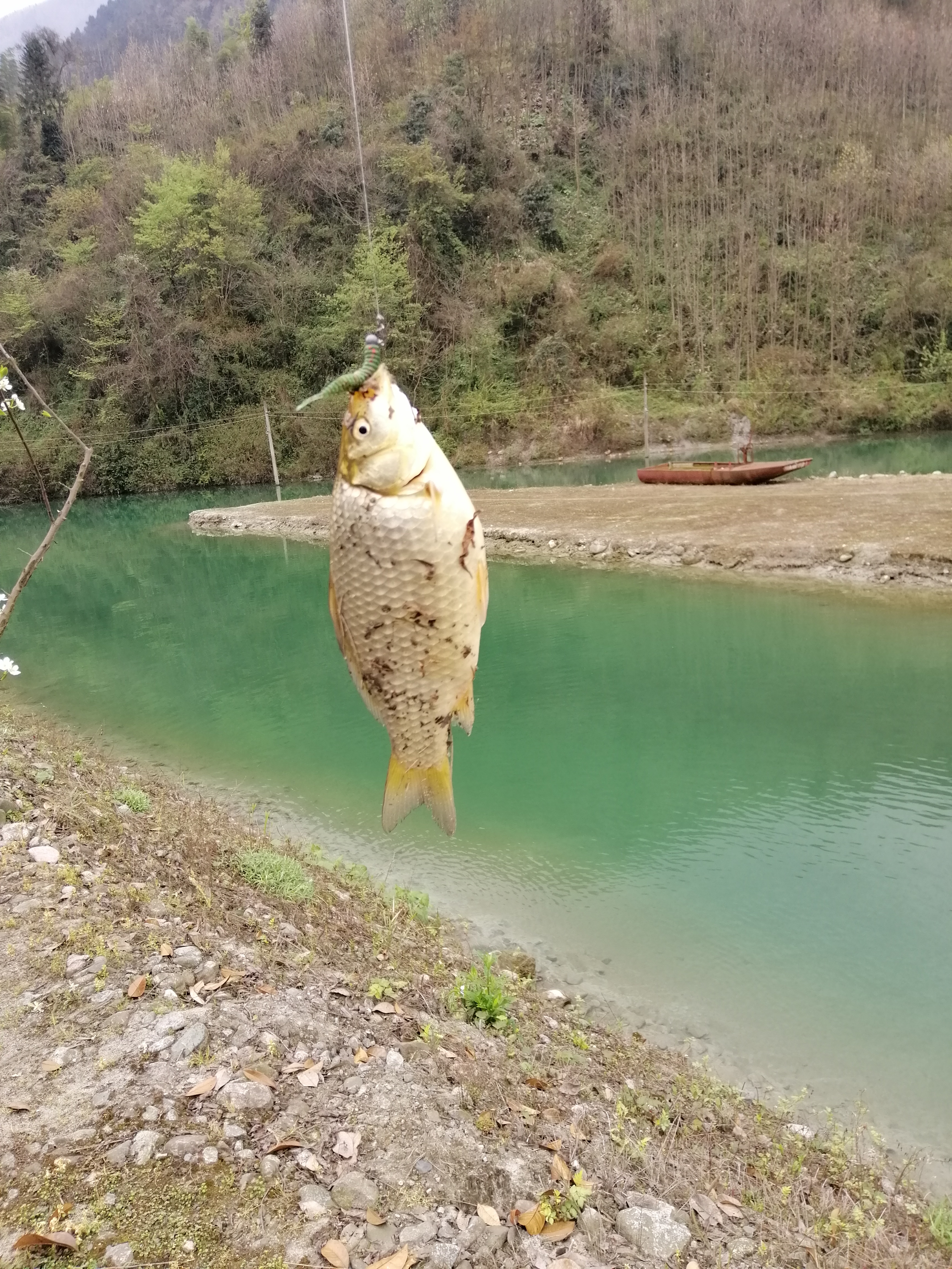 “种草”《大河恋》,解锁大虹鳟,也寻找着生命的意义