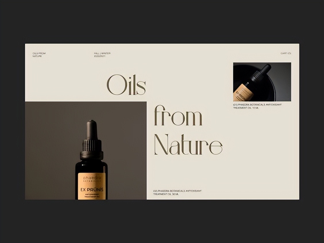 网站建设的费用属于什么费,网站建设费用多少钱一年合适