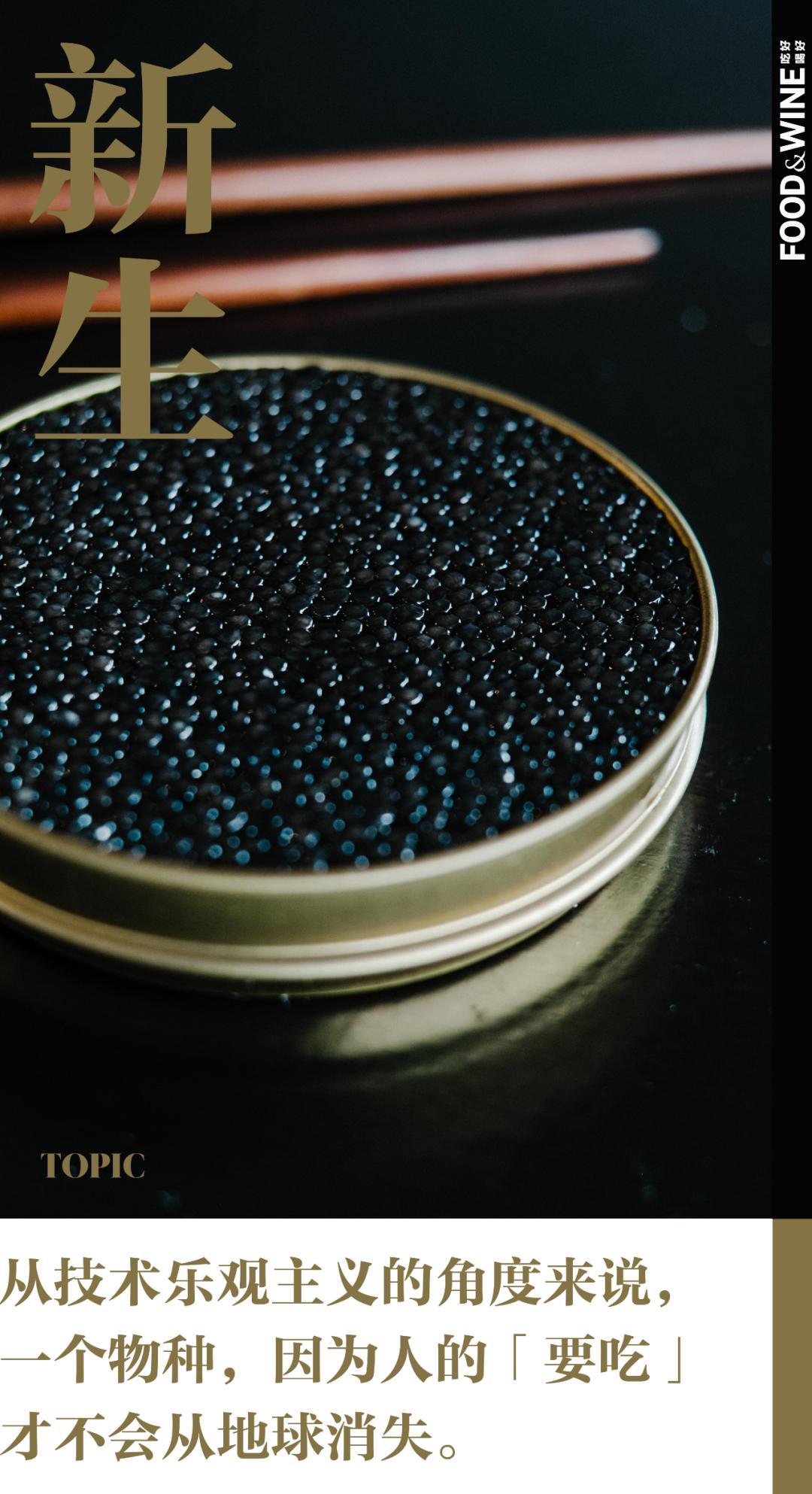 鱼籽酱的阶层跃升拯救了鲟鱼，但人类真的能「支配自然」吗？