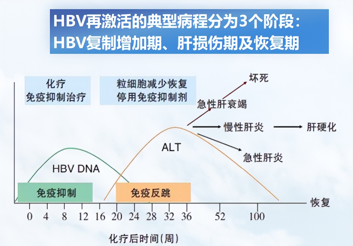 谢雯教授,谢雯长沙医学院