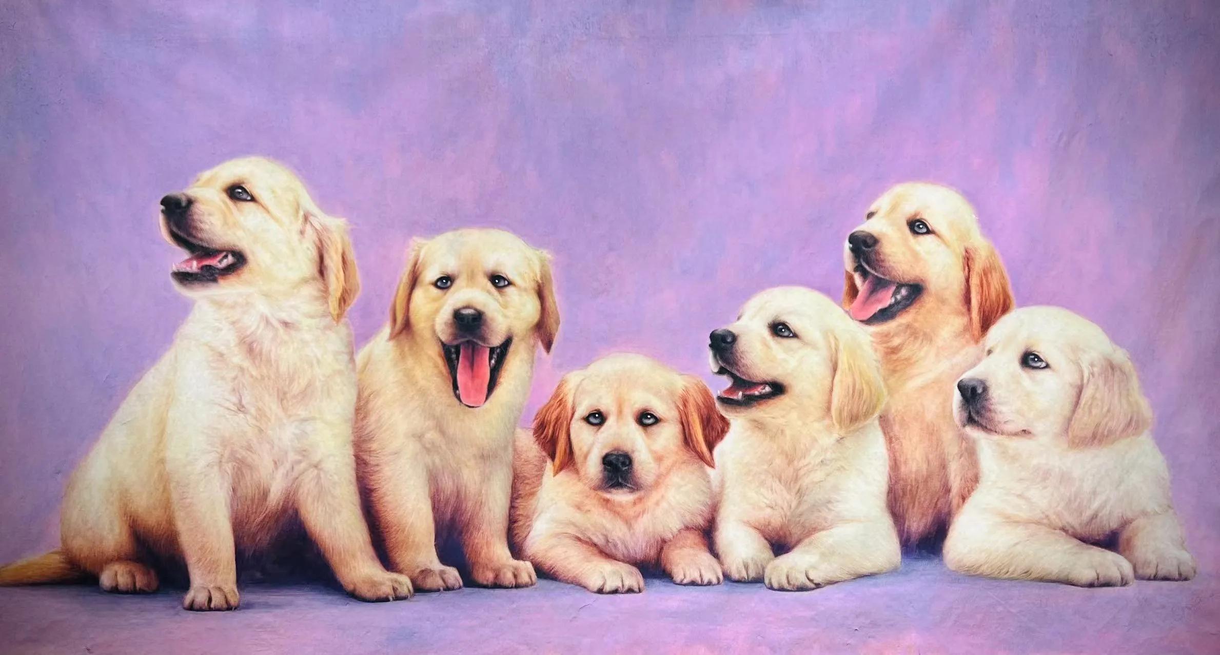 画狗名家马光,马西光人物国画