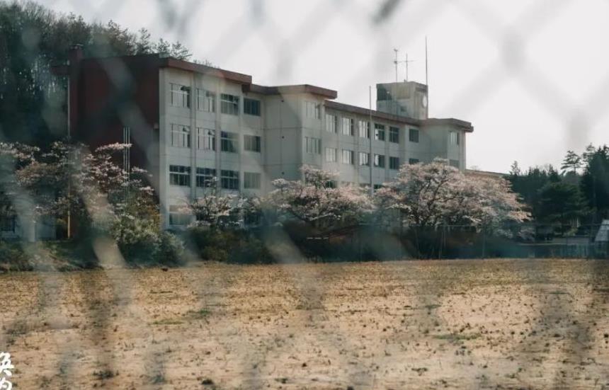 往返福岛11年，他拍下*污染核**区被遗弃的数百个毛孩子故事