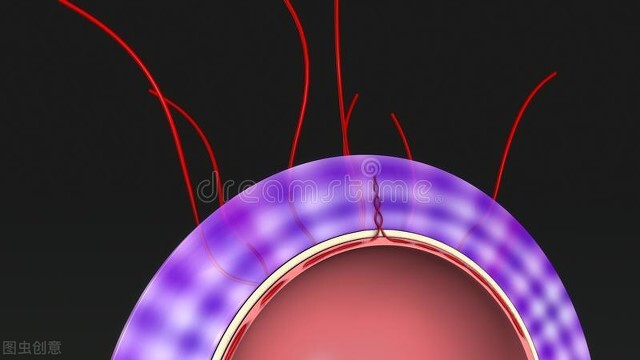 硬化膜保护膜,保护屏水凝膜后膜