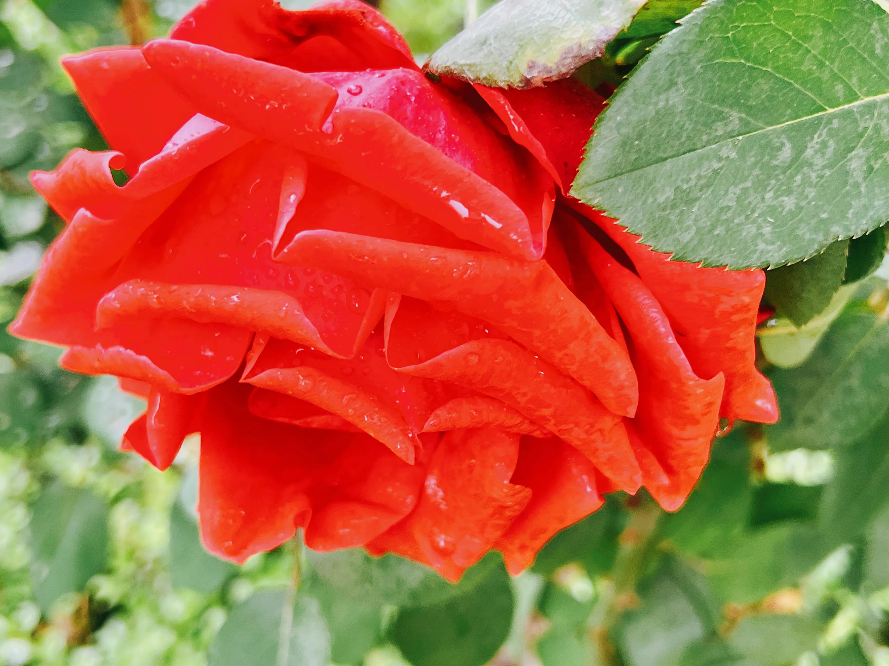 慧眼识得真金,人身上隐藏着神秘的“宝藏”,只是没有人去识别