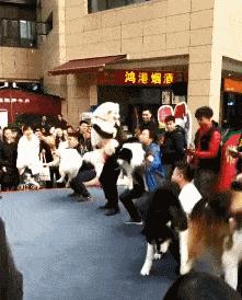 “是小蛇出了轨，还是青蛙劈了腿？”这是现实版的美杜莎？哈哈