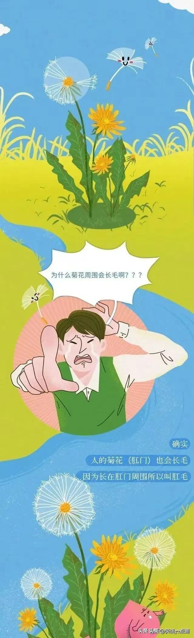 肛门周围为什么会长“毛”？可以刮掉吗？（漫画）