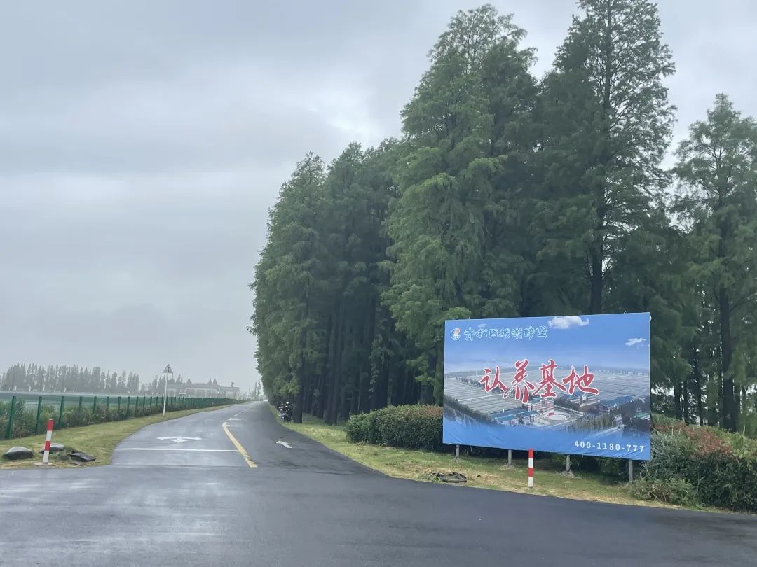 云养帝王蟹,立体式养蟹