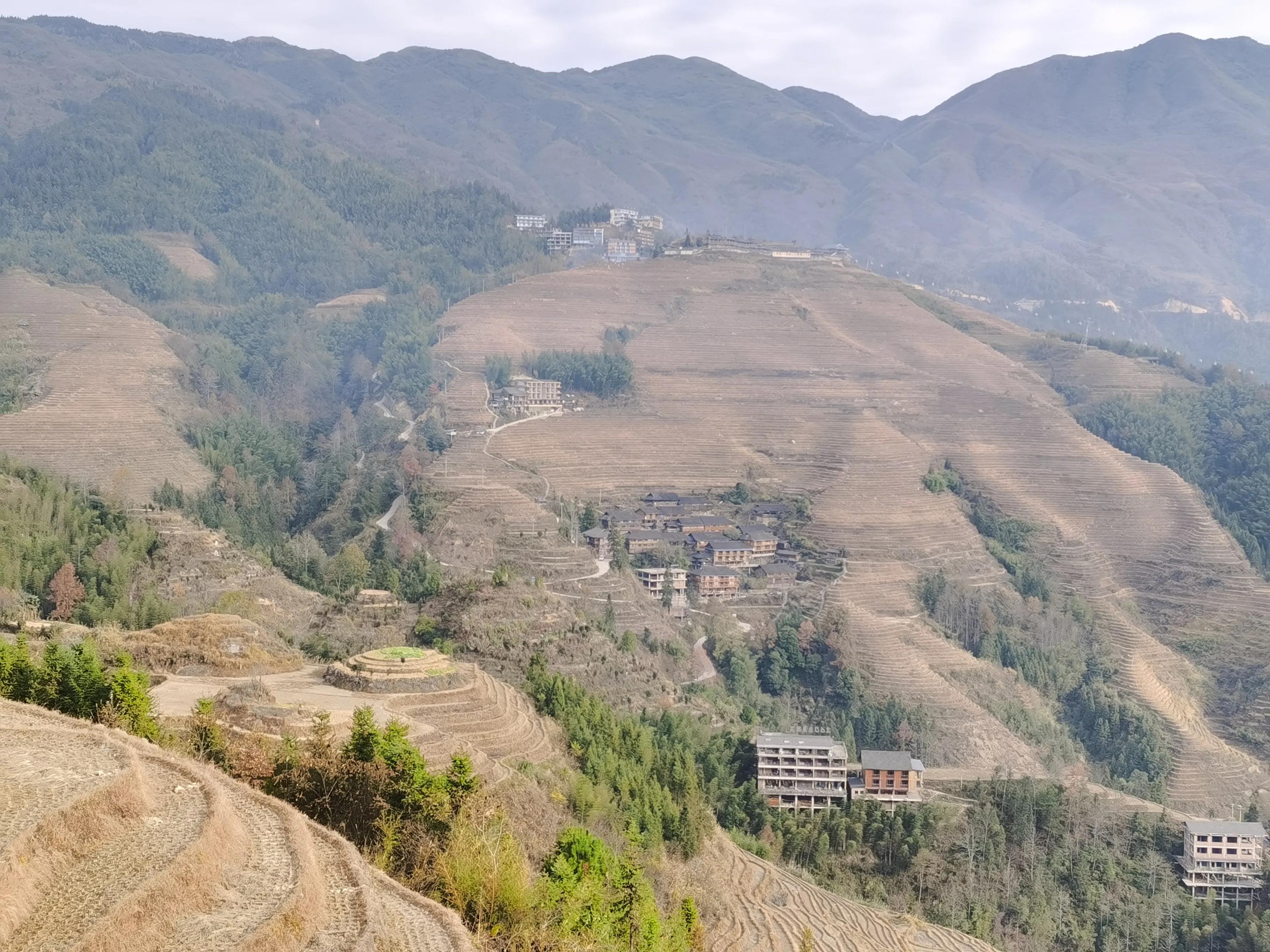 疫情中的成长与收获,疫情期间自己的收获和感受