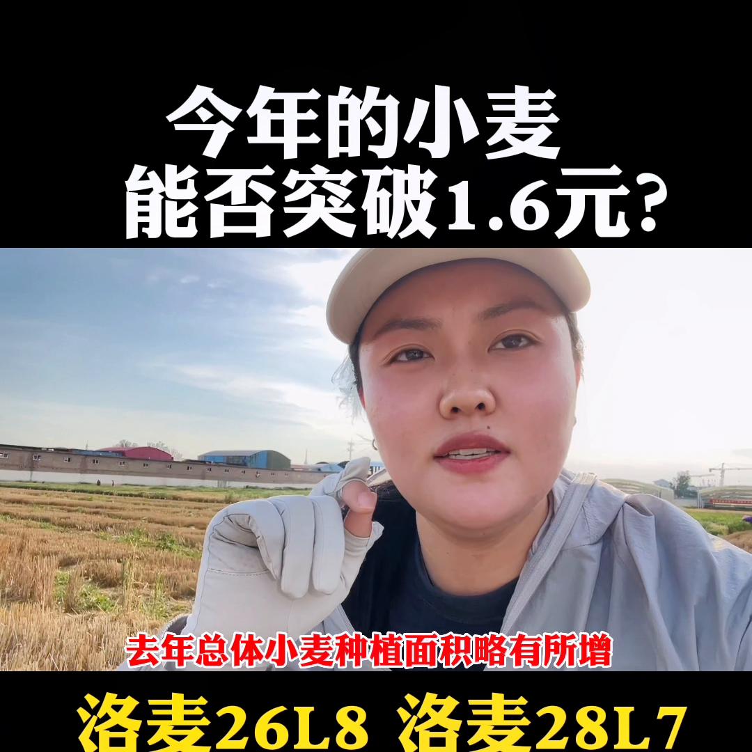 2019黄淮玉米高产品种,高产小麦玉米品种前十名