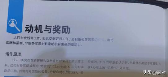 企业运营管理技巧与方法,企业运营管理文化