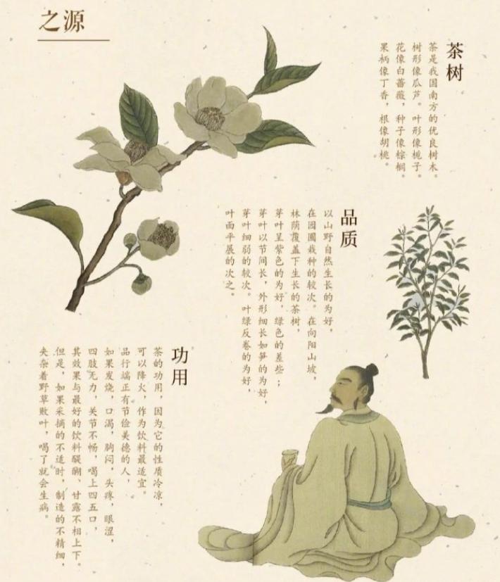 中国茶文化申遗成功韩国反应,中国茶被申遗