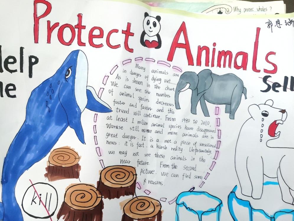 保护动物的英语手抄报六年级图文,英语保护动物手抄报六年级内容