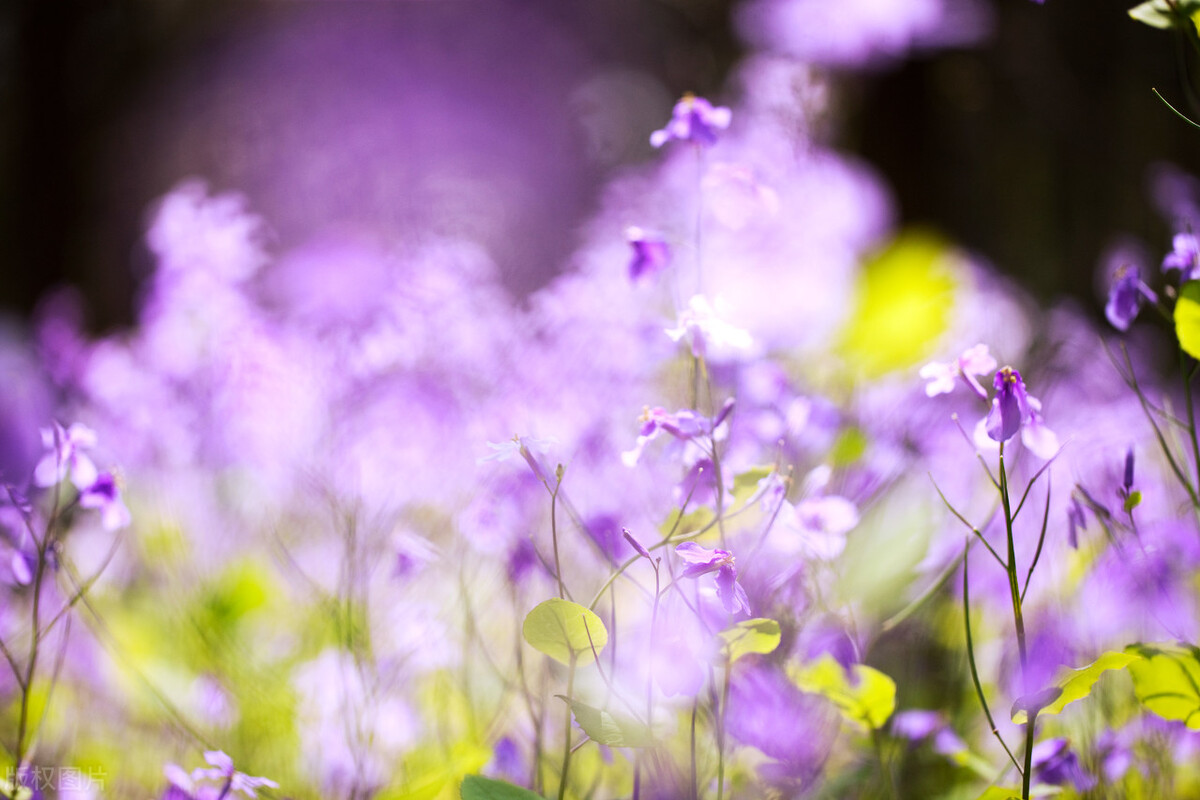 三年级上册语文第八单元写作400字,三年级上册语文第八单元作文大全