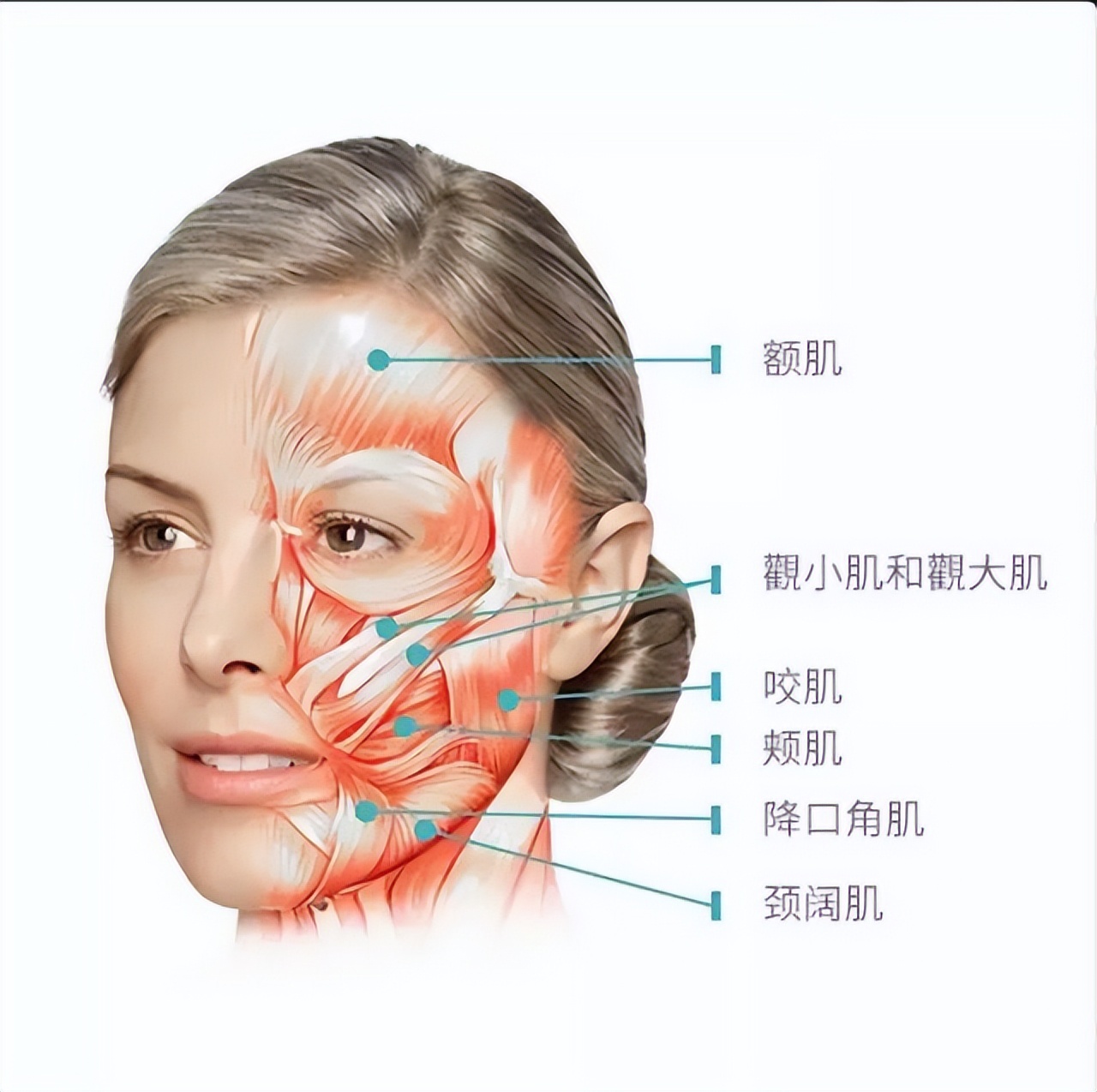 耀县看面瘫的在哪里,夏天得了面瘫