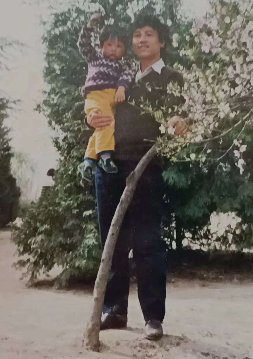 专访何超琼完整版,何超最新发言视频